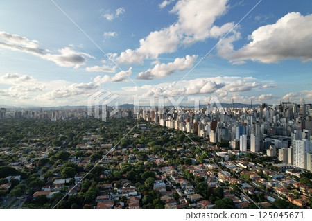 Skyline view of Sao Paulo reveals urban evolution and green spaces 125045671
