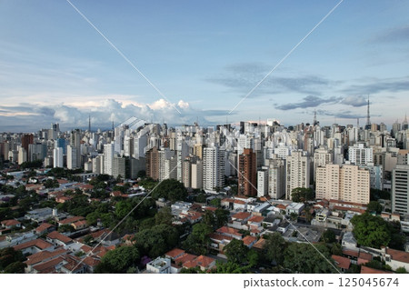 Skyline of Sao Paulo showcasing modern architecture and urban life Skyline of Sao Paulo showcasing modern architecture and urban life 125045674