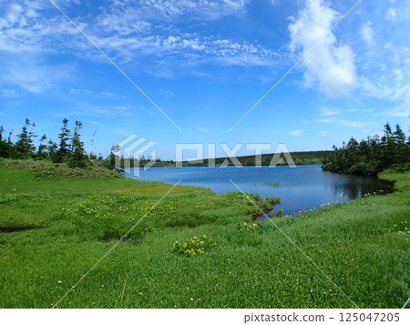 藍天和八幡平(岩手縣八幡平市) 藍天和八幡平(岩手縣八幡平市) 125047205
