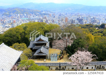 Matsuyama city (from Matsuyama Castle tower) 125047410