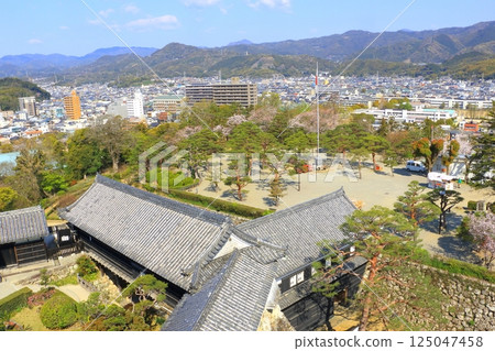 Kochi city (from Kochi Castle tower) Kochi city (from Kochi Castle tower) 125047458