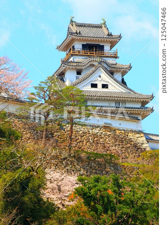 春天的高知城塔（縱構圖） 125047466