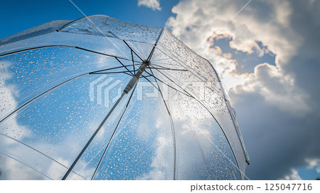 Vinyl umbrella Vinyl umbrella 125047716