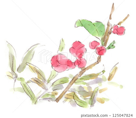 竹林中盛開的鮮紅色日本木瓜花的水彩插圖 竹林中盛開的鮮紅色日本木瓜花的水彩插圖 125047824