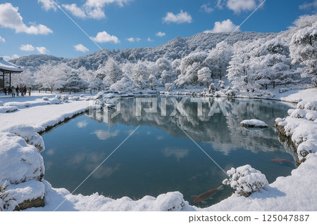 天龍寺曹源池庭園雪景 天龍寺曹源池庭園雪景 125047887