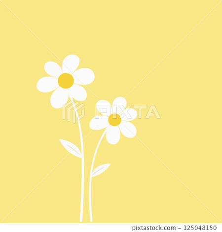 Two Daisies on Yellow Background 125048150