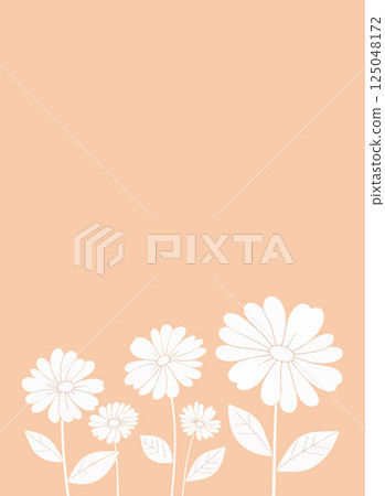 Daisy Flower Illustration on Peach Background 125048172