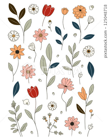 Floral Illustration 125048718