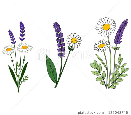 Lavender and Daisy Arrangements Lavender and Daisy Arrangements 125048746