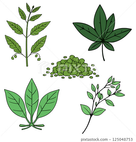 Botanical Illustration of Various Plants 125048753