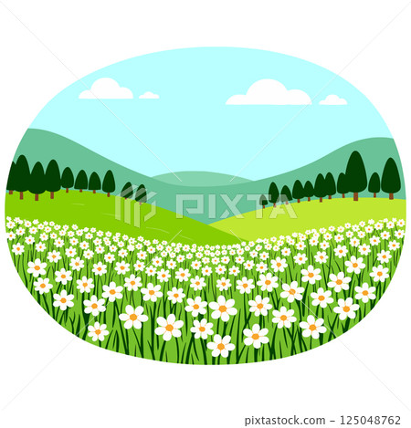 Daisy Field Landscape 125048762