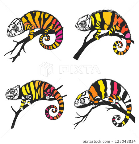Colorful Chameleon Illustrations Colorful Chameleon Illustrations 125048834