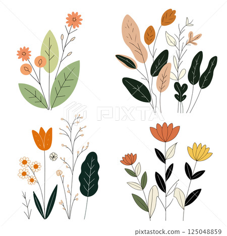 Botanical Illustration Set Botanical Illustration Set 125048859