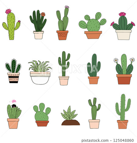 Cactus Plant Illustrations 125048860