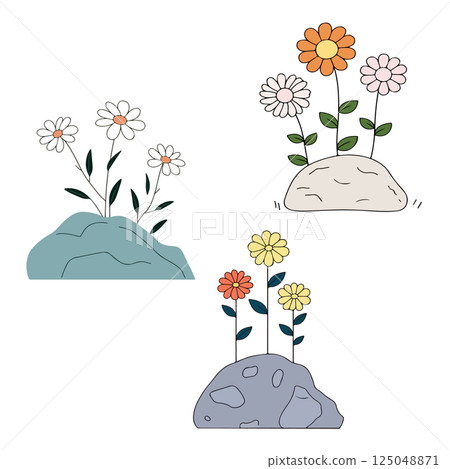 Flowers on Rocks Illustration Flowers on Rocks Illustration 125048871