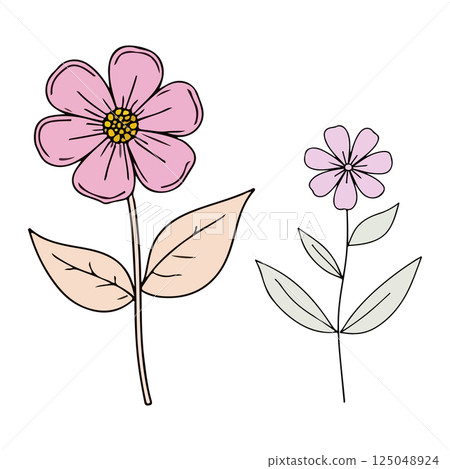 Floral Illustration Floral Illustration 125048924