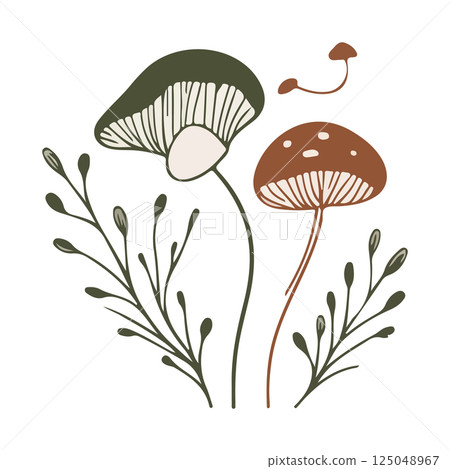 Mushroom and Foliage Illustration 125048967