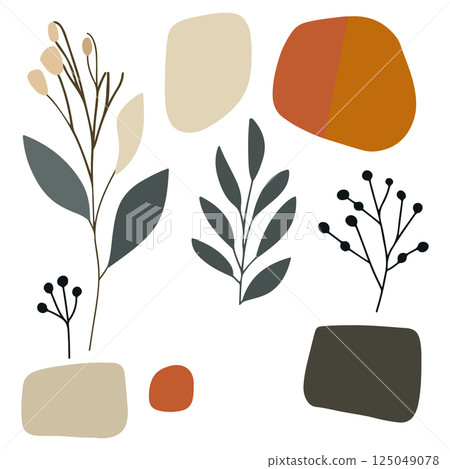 Abstract Botanical Illustration 125049078