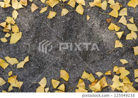 Road surface framed with ginkgo leaves 125049238