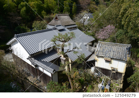 嵯峨野之春：京都市右京區佐賀縣奧嵯峨市的民宅 125049279