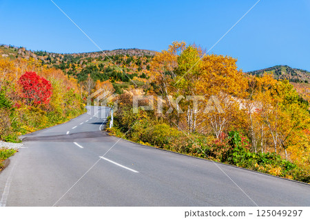 Hachimantai dyed in autumn leaves ~ Hachimantai Aspite Line ~ 125049297
