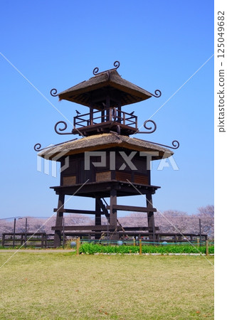 Yayoi ruins in Nara: Towers and cherry blossom trees in full bloom at Karako-Kagi ruins 125049682