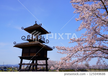 Yayoi ruins in Nara: Towers and cherry blossom trees in full bloom at Karako-Kagi ruins Yayoi ruins in Nara: Towers and cherry blossom trees in full bloom at Karako-Kagi ruins 125049686