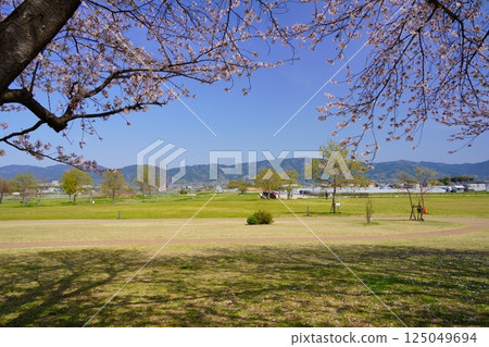 The blue fence of Yamato, unchanged since the Yayoi period, as seen from the Karako-Kagi ruins The blue fence of Yamato, unchanged since the Yayoi period, as seen from the Karako-Kagi ruins 125049694