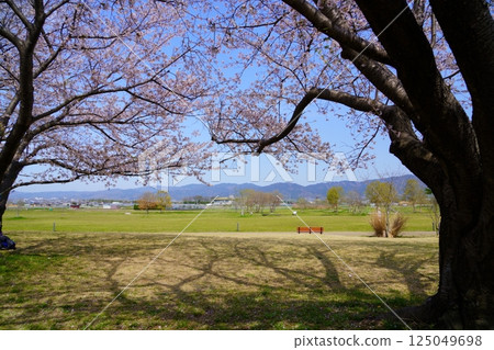 The blue fence of Yamato, unchanged since the Yayoi period, as seen from the Karako-Kagi ruins 125049698
