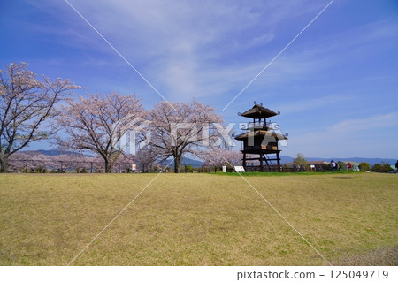 奈良彌生遺址：唐子鍵遺址的塔樓和盛開的櫻花樹 125049719