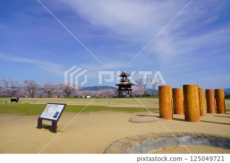 Yayoi ruins in Nara: Towers and cherry blossom trees in full bloom at Karako-Kagi ruins 125049721