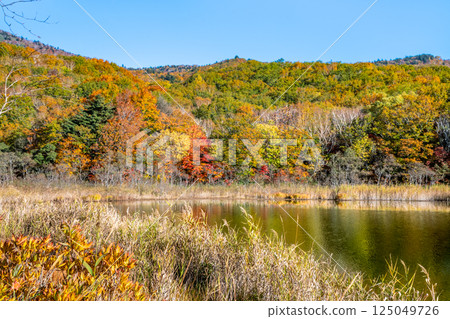 岩手縣 - 八幡平紅葉 - 禦在所湖水鏡 岩手縣 - 八幡平紅葉 - 禦在所湖水鏡 125049726