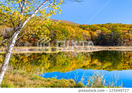 Iwate - Hachimantai covered in autumn leaves - The water mirror of Gozaisho Lake 125049727