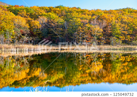 岩手縣 - 八幡平紅葉 - 禦在所湖水鏡 125049732