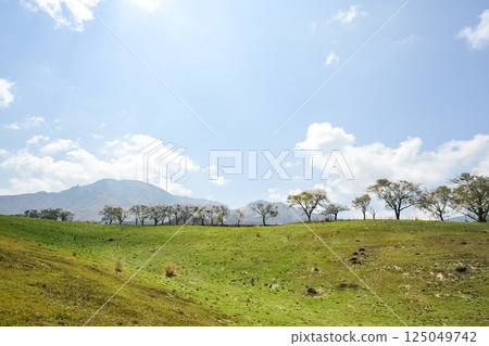 貓岳與櫻花美景 125049742