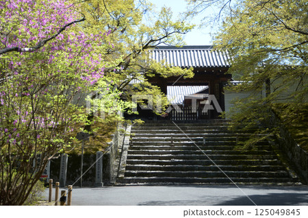 京都市左京區萬殊院：新綠與皇門 125049845