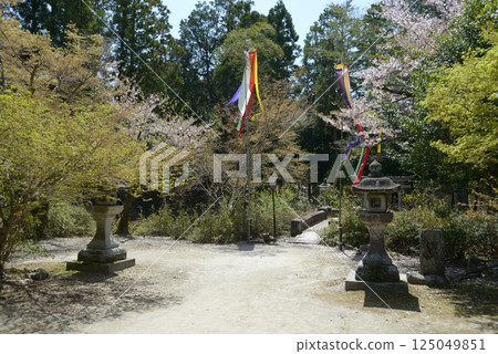 京都市左京區萬殊院天滿宮境內 京都市左京區萬殊院天滿宮境內 125049851