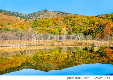 岩手縣 - 紅葉覆蓋的八幡平 - 水鏡赤沼 岩手縣 - 紅葉覆蓋的八幡平 - 水鏡赤沼 125049911