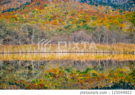 岩手縣 - 紅葉覆蓋的八幡平 - 水鏡赤沼 125049922