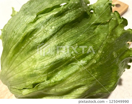 18 fresh, crunchy large lettuce heads 18 fresh, crunchy large lettuce heads 125049990