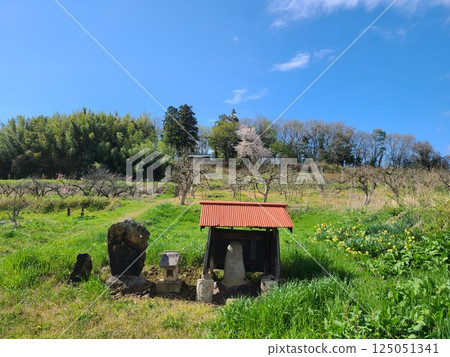 The birthplace of the Date clan in Date City, Fukushima Prefecture 125051341