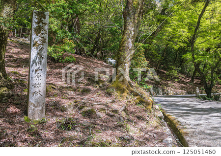 Kasugayama Primeval Forest, Nara City Kasugayama Primeval Forest, Nara City 125051460