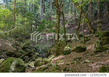 A mountain stream in the Kasugayama primeval forest, Nara City 125051470