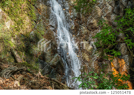 奈良市春日山原始森林水壩流下的水 125051478