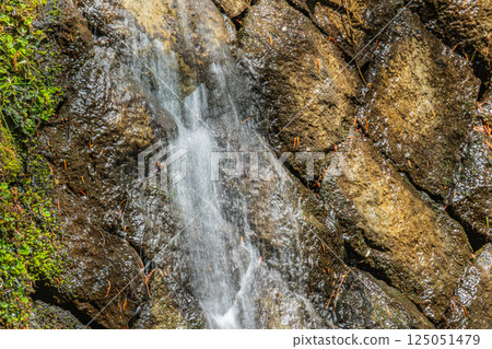 Water flowing down from a dam, Kasugayama Primeval Forest, Nara City Water flowing down from a dam, Kasugayama Primeval Forest, Nara City 125051479