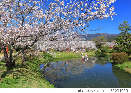 【佐賀縣】晴天小木公園櫻花盛開 【佐賀縣】晴天小木公園櫻花盛開 125051693