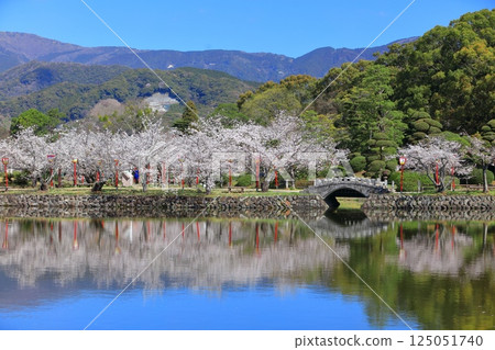 【佐賀縣】晴天小木公園櫻花盛開 125051740