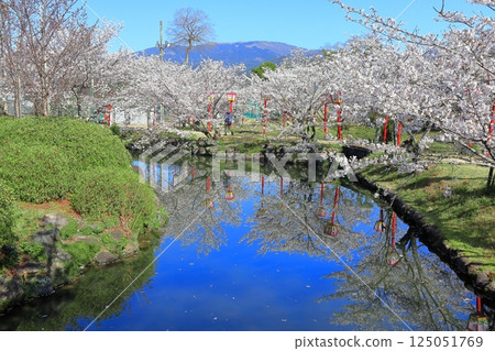 【佐賀縣】晴天小木公園櫻花盛開 125051769