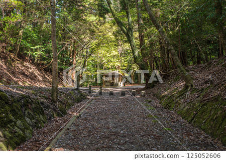 Hiking trails in the Kasugayama primeval forest, Nara City Hiking trails in the Kasugayama primeval forest, Nara City 125052606
