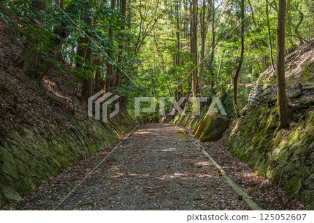 Hiking trails in the Kasugayama primeval forest, Nara City 125052607
